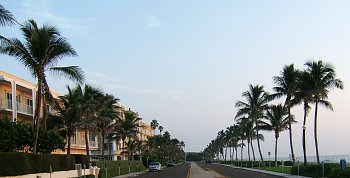 Palm Beach Rentals